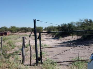 Campo · 457m² · Campo en Venta - La Paz - Mendoza
