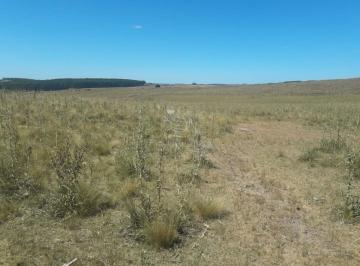 Foto1 · Campo Cerca de La Ruta 12 y Ruta 60