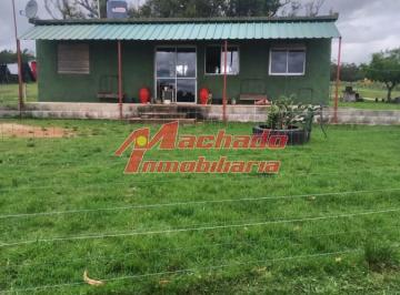 Foto1 · Venta Chacra de 7 Ha y Media en Punta del Este