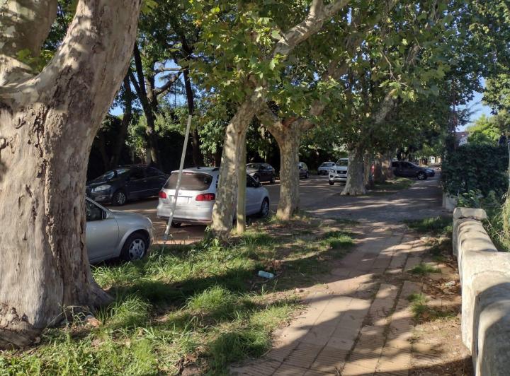 Terreno · 1m²