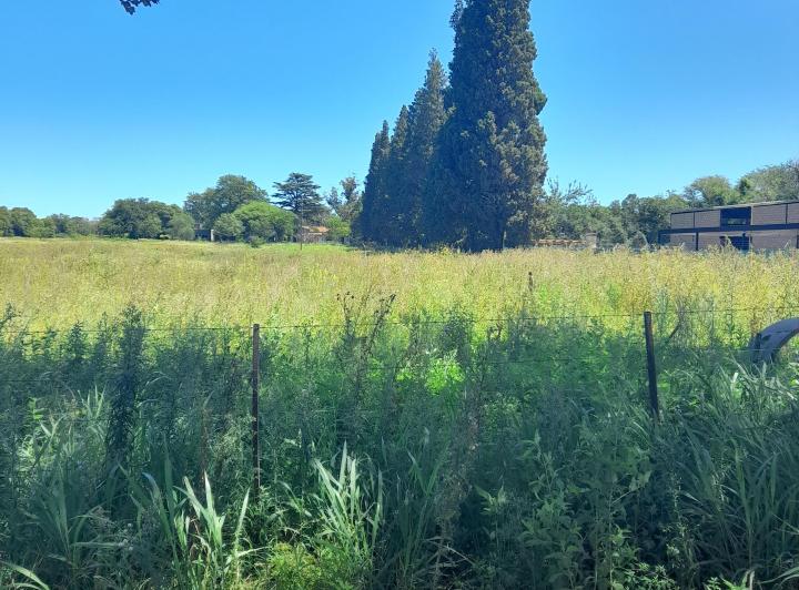 Terreno