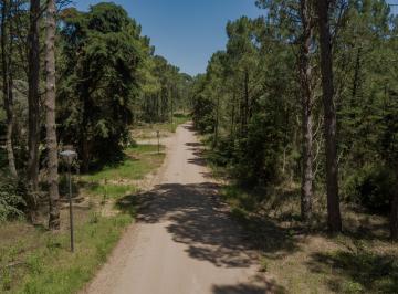 Terreno · 1343m² · Terreno - Carilo Usd 207.000