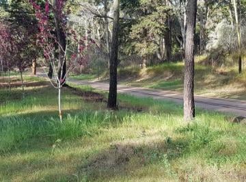 Terreno · 1238m² · Terreno - Carilo Usd 173.000