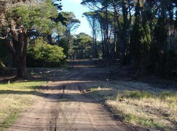 Terreno · 1599m² · Terreno - Carilo Usd 269.000
