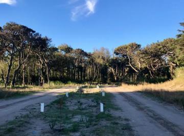 Terreno · 1210m² · Terreno - Carilo Usd 186.000