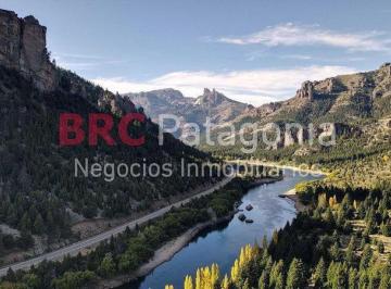 Campo · 620000m² · Campo - Ruta 237 - Bariloche