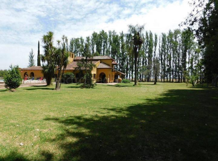Campo · 6m²