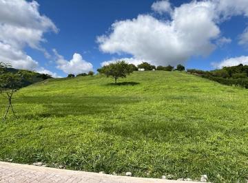 Terreno · 4050m² · Espectacular Terreno en La Lucinda Sur de 4.050 m²