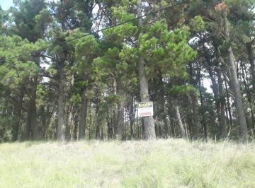 GIA-GI3-2423_2 · Lote. | Juana Gesell