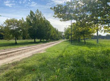 Terreno , Brandsen · Lote en Venta. Barrio " El Chañar Ll ". Partido de Brandsen. Bs. As