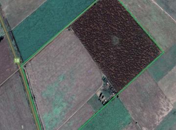 Campo · 627000m² · Excelente Campo Agricola de 62,73 Ha