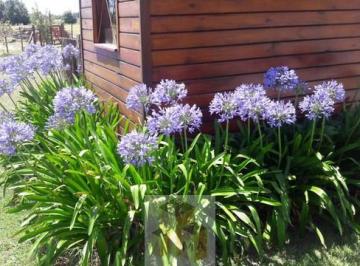 Casa de 1 ambiente, San Miguel del Monte · Retasado - Chacras de Abbott - Casa Estilo Campo