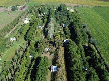 Terreno · 800m² · Terreno - Roldán