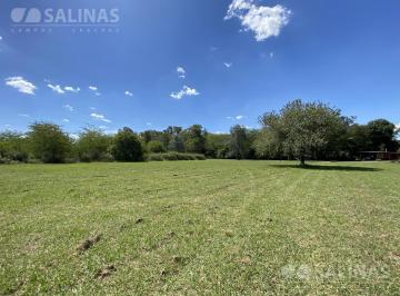 Terreno · 20300m² · Terreno - Alsina