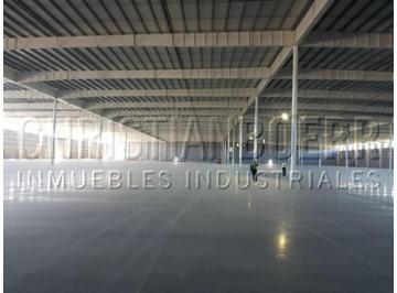 Bodega-Galpón · 32000m² · Centro Logístico Premium - 32.000 m² Cubiertos en Una Nave.