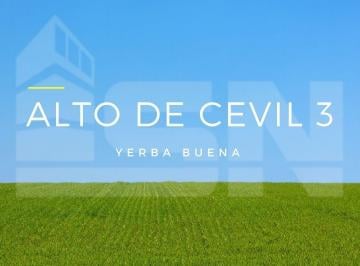 ISN-ISN-925_2 · Lote. | Alto de Cevil 3