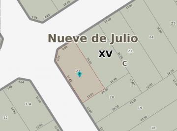 FAE-FAE-464_2 · Lote. | J. V. Gonzalez Al 100