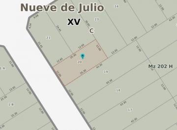 FAE-FAE-465_2 · Lote. | J. V. gonzalez Al 100