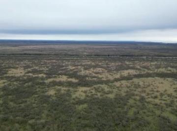 Campo · 304268m² · Fracción Isla Sobre Río Uruguay. Sup. de 913.715 m². Oportunidad de Inversión