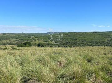 Foto1 · Campo en Paso de La Cantera