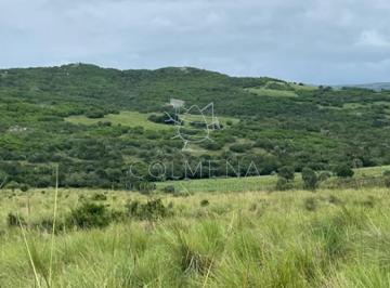 Foto1 · Campo en Paso de La Cantera