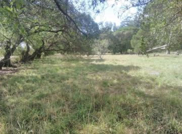 Terreno · 800m² · Vendo Lote Santa Isabel