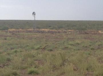 Terreno · Alquilo Campo de Cria de 2677 Ha en Puelches La Pampa