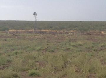 Terreno · Alquilo Campo de Cria de 2677 Has en Puelches La Pampa