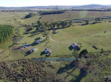 Foto1 · Hermoso Campo