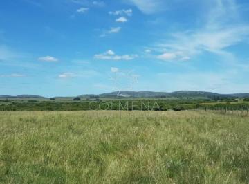 Foto1 · Chacra en Las Cañas con Casa y Costa de Arroyo.