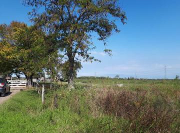 Terreno · 346007m² · Hectarias Ruta 26 Ing. Maschwitz