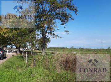 Terreno · 346007m² · Hectarias Ruta 26 Ing. Maschwitz