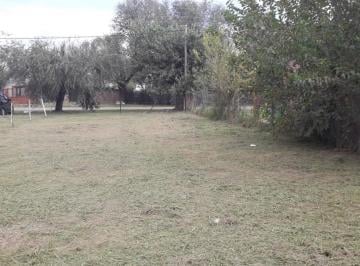 Terreno · 334m² · Andino
