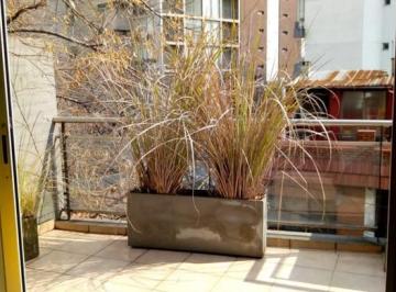 PH · 81m² · 3 Ambientes · 1 Cochera · PH 3 Amb. Palermo