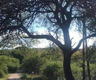 Foto · Venta Lote Mide 280 m² La Granja - (Villa Ani - Mi) a 3 Cuadras de Ruta E - 53