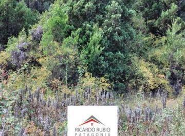 Terreno · 5000m² · Terreno - Mallin Ahogado