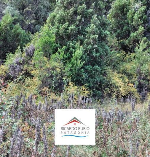 Terreno · 5000m²