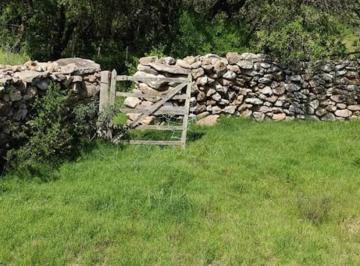 Foto1 · Campo 77 Has 4940 m² Cerca Ruta 39