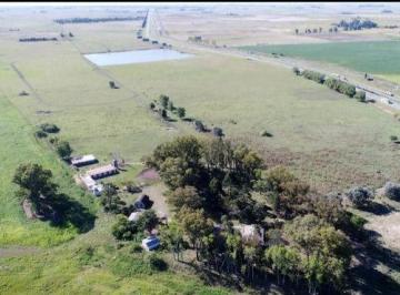 DEF-DEF-1118_2 · Campo 3700 Hectáreas |. | Ruta 2 Al 100