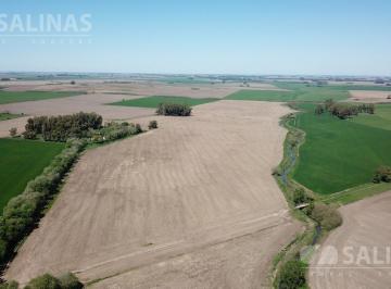 Campo · 1375000m² · Campo - Capitan Sarmiento