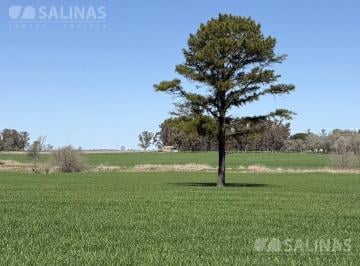 Campo · 1375000ha · Campo - Capitan Sarmiento