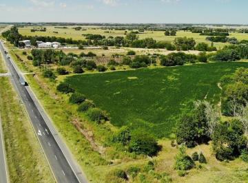 Campo · 50m² · Campo de 50 Hectáreas Sobre Ruta 6