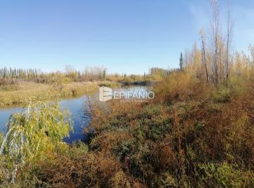 Campo · 100000m² · Chacra en Blanco - Venta - General Roca - R011