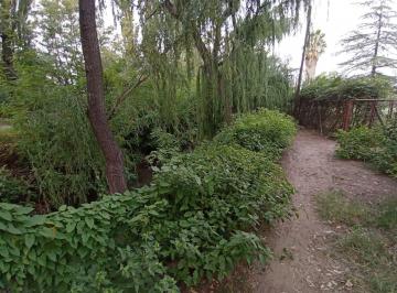 Quinta vacacional de 5 ambientes, San Rafael · Finca en Venta con Casa, Quincho, Caballeriza. Colonia Elena, San Rafael
