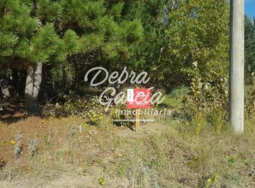 Terreno · 995m² · Venta Lote San Bernardo 995 m² Barrio Residencial Oportunidad