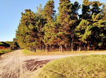 Terreno · 2050m² · Lote en Esquina - Venta - Mar de Ajo