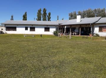 Campo · 320m² · 6 Ambientes · 18 Has Chacra - Campana