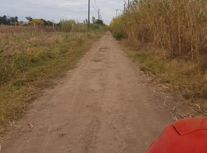 Terreno