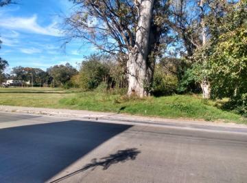 GIA-GIA-2474_2 · Lote. | Gutierrez 800