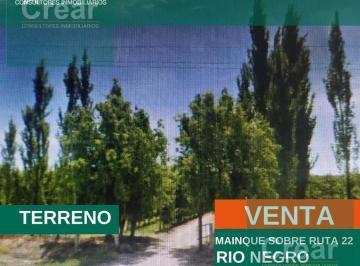 Campo · 210000m² · Chacra - Mainque